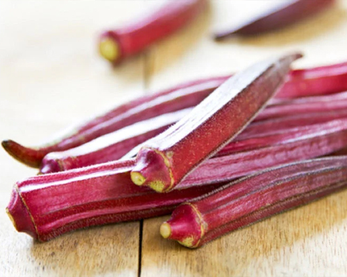 ORNAMENTAL PLANT SEEDS