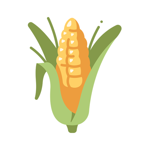 Maize