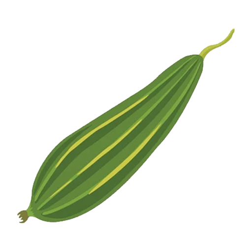 Ridge Gourd
