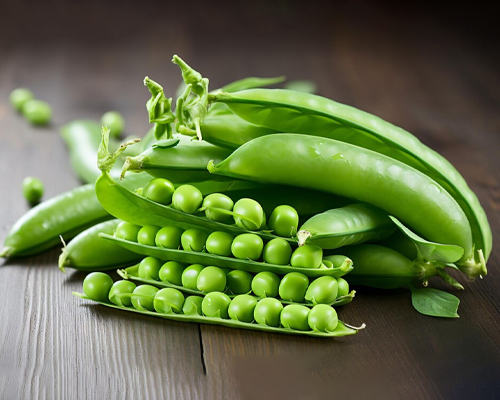 Garden Pea