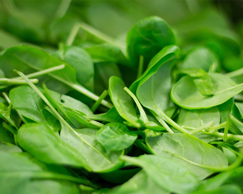 Spinach